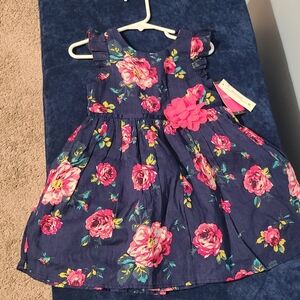 Zunie Girl, 3T, Navy/PinkFlower Print